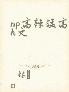 np高辣猛高辣h文封面