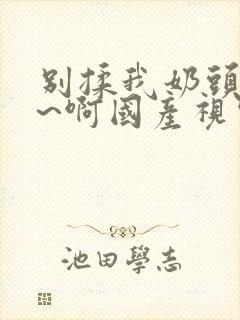 别揉我奶头~嗯~啊国产视频