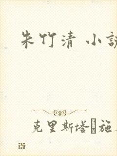 朱竹清 小说封面