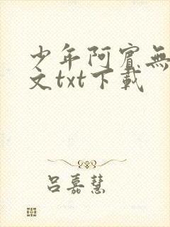 少年阿宾无删全文txt下载
