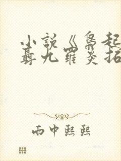 小说《枭起青壤聂九罗炎拓》