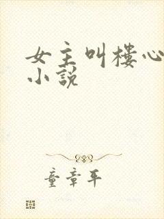 女主叫楼心月的小说