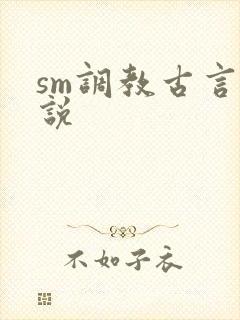 sm调教古言小说