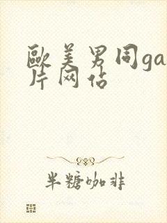 欧美男同gay片网站