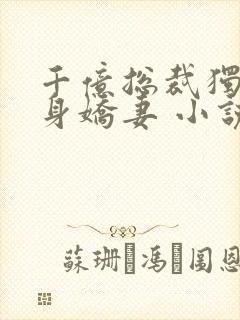 千亿总裁独宠替身娇妻 小说