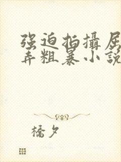 强迫拍摄屈辱玩弄粗暴小说