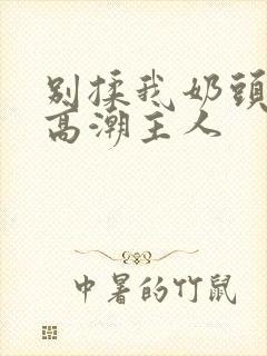 别揉我奶头嗯啊高潮主人封面