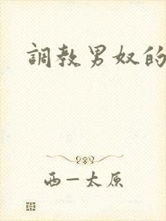 调教男奴的小说