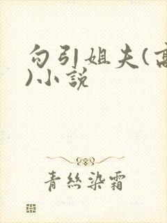 勾引姐夫(高h)小说