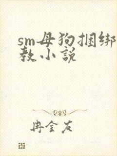 sm母狗捆绑调教小说