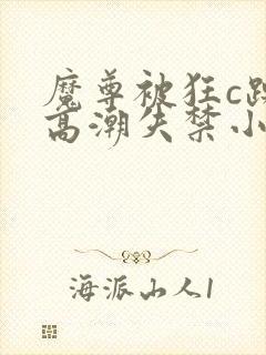 魔尊被狂c躁到高潮失禁小说