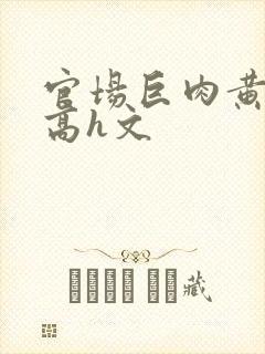 官场巨肉黄暴辣高h文