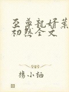 至尊龙婿叶辰萧初然全文