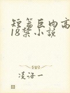 短篇巨肉高h文18禁小说