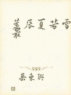 叶辰夏若雪孙怡最