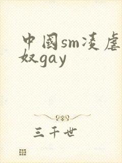 中国sm凌虐男奴gay