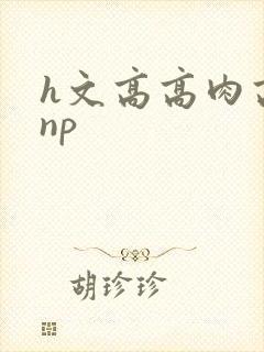 h文高高肉高辣np
