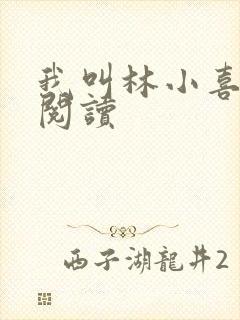 我叫林小喜在线阅读