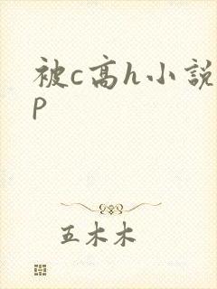 被c高h小说np