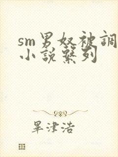 sm男奴被调教小说系列