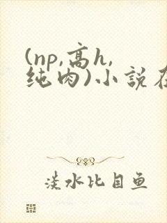 (np,高h,纯肉)小说在线阅读