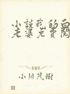 小说我的白富美老婆免费阅读