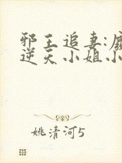 邪王追妻:废材逆天小姐小说