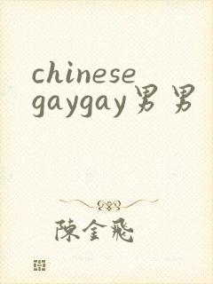 chinesegaygay男男