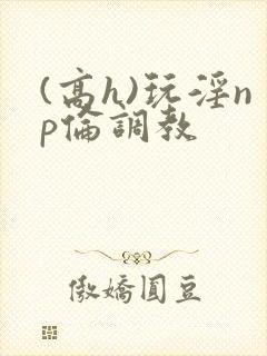 (高h)玩淫np伦调教