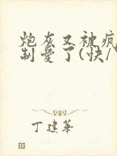 炮灰又被疯批强制爱了(快/穿)_