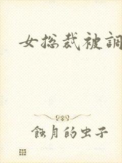 女总裁被调教封面