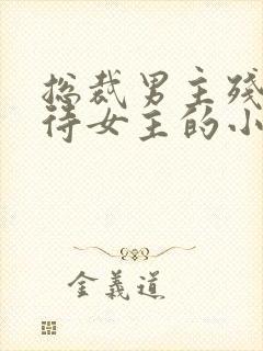 总裁男主残忍对待女主的小说封面