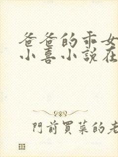 爸爸的乖女儿林小喜小说在线阅读封面