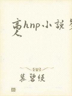 高hnp小说多人