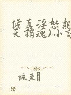 修真淫怒期(逆天销魂)小说