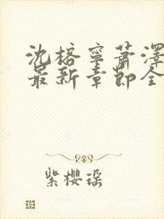 沈榕宁萧泽小说最新章节全文阅读