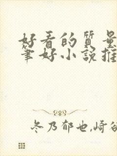 好看的质量高文笔好小说推荐封面