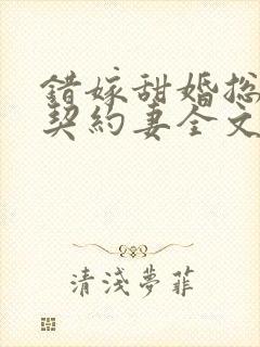 错嫁甜婚总裁的契约妻全文免费