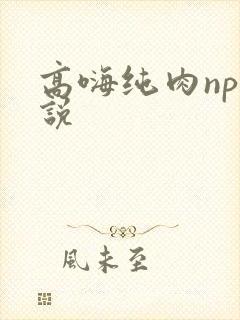 高嗨纯肉np小说
