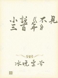 小说《不见上仙三百年》封面