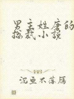 男主姓唐的霸道总裁小说