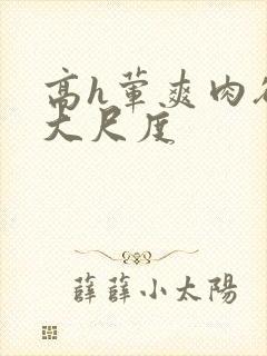 高h荤爽肉欲文大尺度