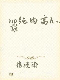 np纯肉高h小说