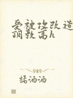 受被攻改造身体调教高h