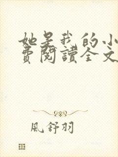 她是我的小说免费阅读全文