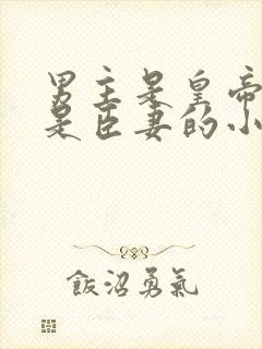 男主是皇帝女主是臣妻的小说