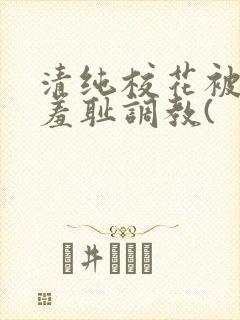 清纯校花被民工羞耻调教(