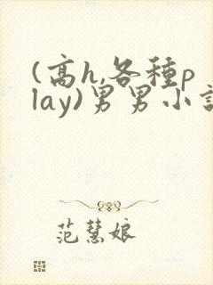 (高h,各种play)男男小说
