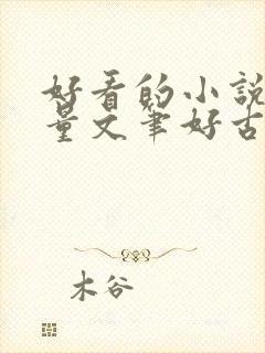 好看的小说高质量文笔好古言