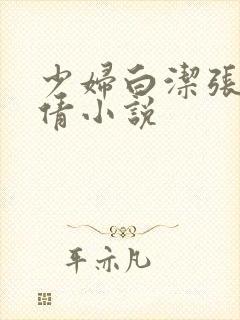 少妇白洁张敏孙倩小说封面